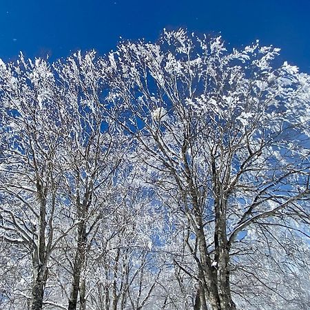 Apartamento Snow Horizon Hakuba Exterior foto